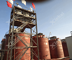 幾內亞6000t/d金礦選礦項目