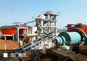 選廠概覽 選廠概覽