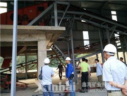 鑫海項目工程師與技術人員正在進行項目考察